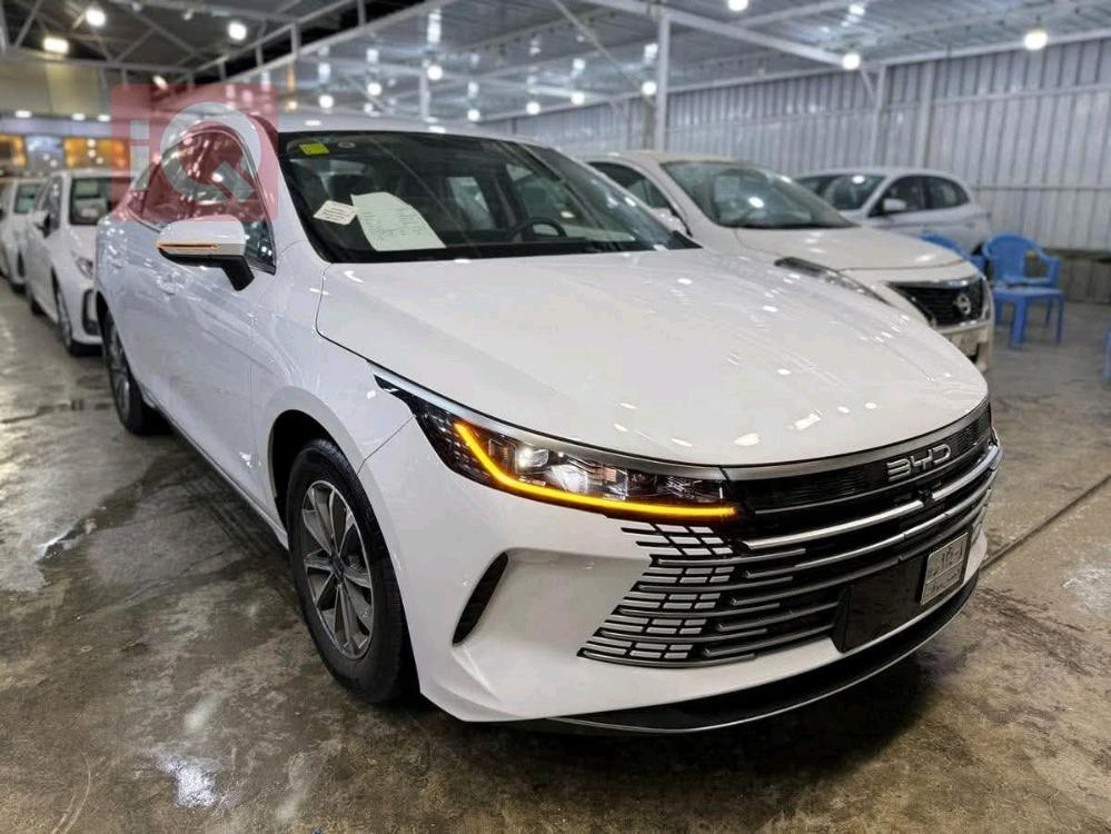 بی وای دی دیسترۆیەر 05